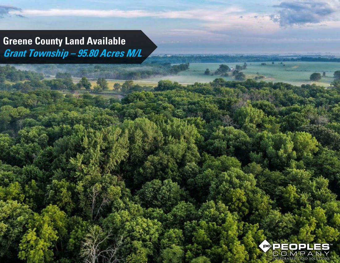 Listing Photo: Greene-Co-Rec-Land-Available-95-Acres-19559 (2)
